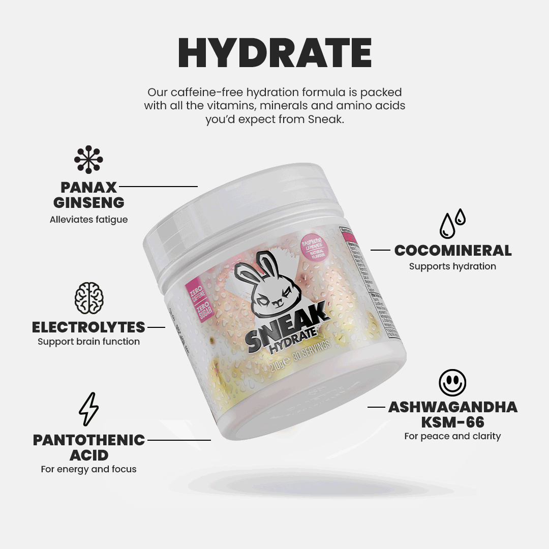 Sneak Hydrate 30 Serving Tub